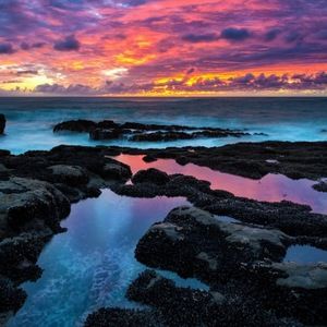 Meet your Posher, Corie